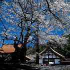 雲峰寺