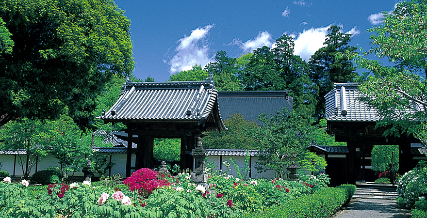 放光寺